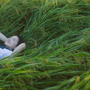 新婚之夜日逼视频
